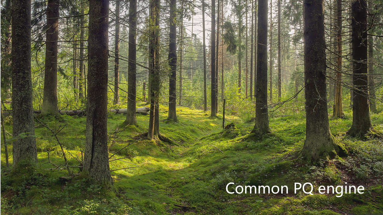 智慧分析，再现逼真观感体验